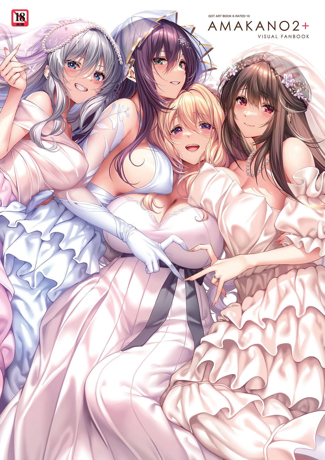 アマカノ2＋ ビジュアルファンブック page 1 full