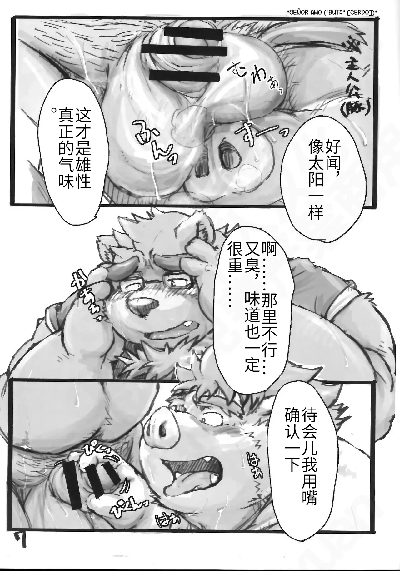 沃洛斯的雄种官能检查 page 6 full