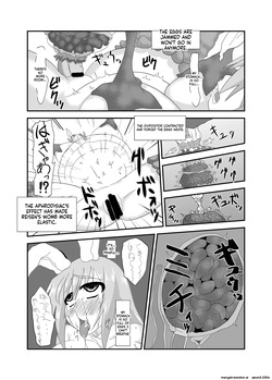 [blind alley (Blind)] Naedoko Usagi (Touhou Project) [Digital] (SCANMTL) — page 21