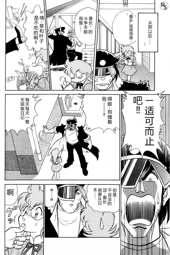 Protect page 6 full