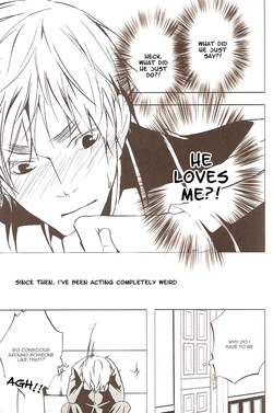 [Promenade (Shibao Kenta] Drive me Crazy (Hetalia Axis Powers) [English] — page 14