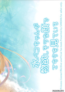 (C96) [SANDAN (Kurun)] Mizu Peco-chan ga Monohoshisou na Kao de Kochira o Miteru (Princess Connect! Re:Dive) [English] [XO Manga] — page 22