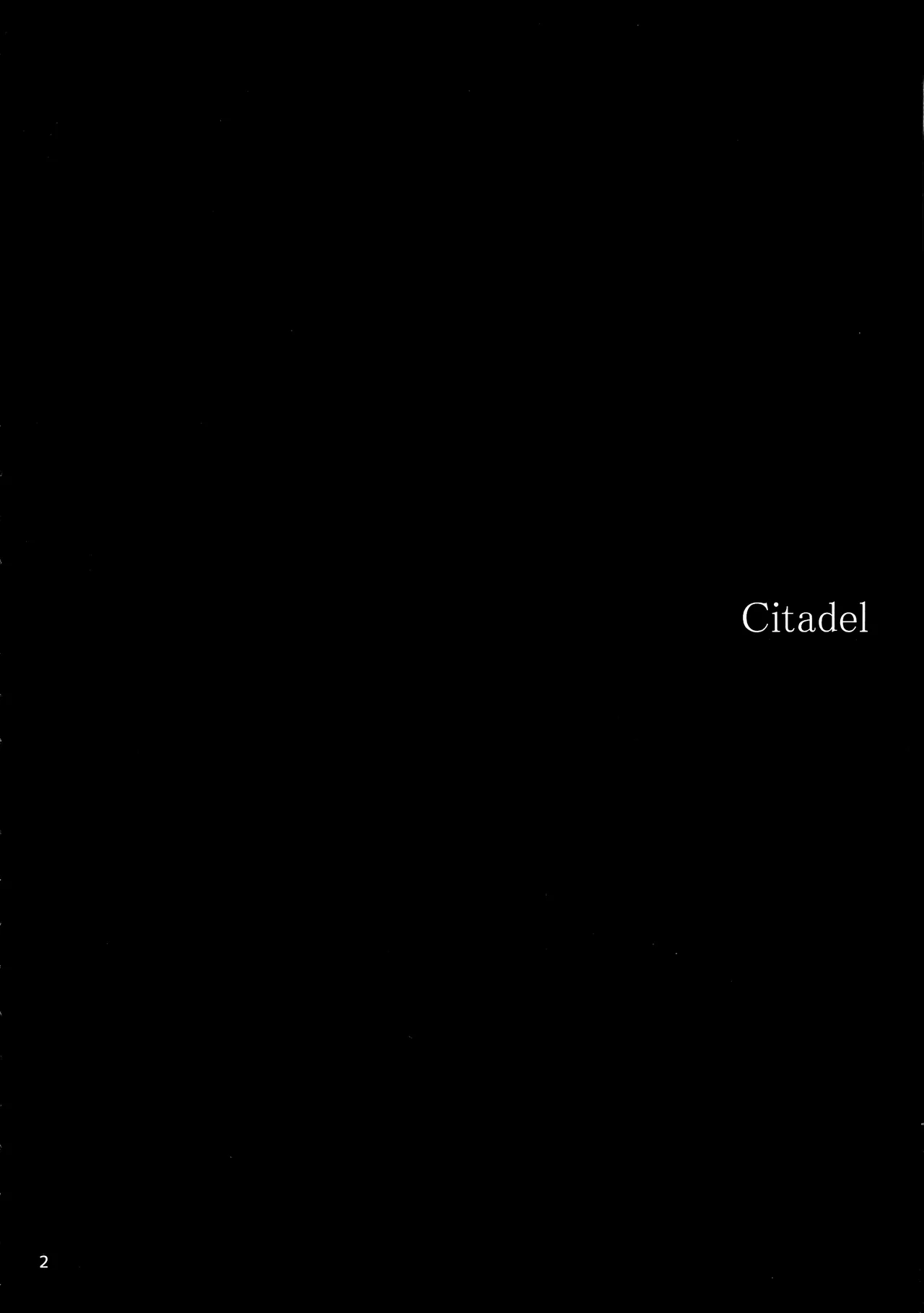 Citadel page 4 full