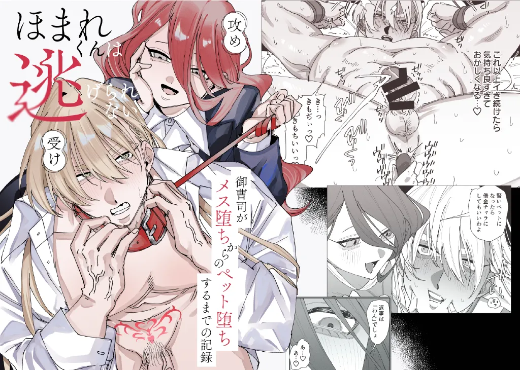 ほまれくんは逃げられない～御曹司がメス堕ちからのペット堕ちするまでの記録～ page 1 full
